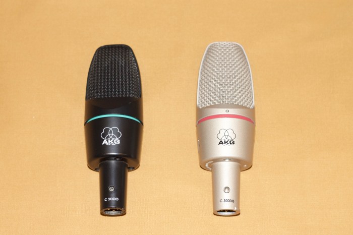 AKG C3000